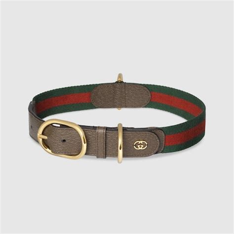 cat bag gucci|gucci dog collars and leashes.